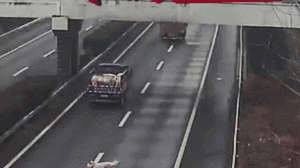 为捡猪在高速公路上倒车 货车司机被扣12分